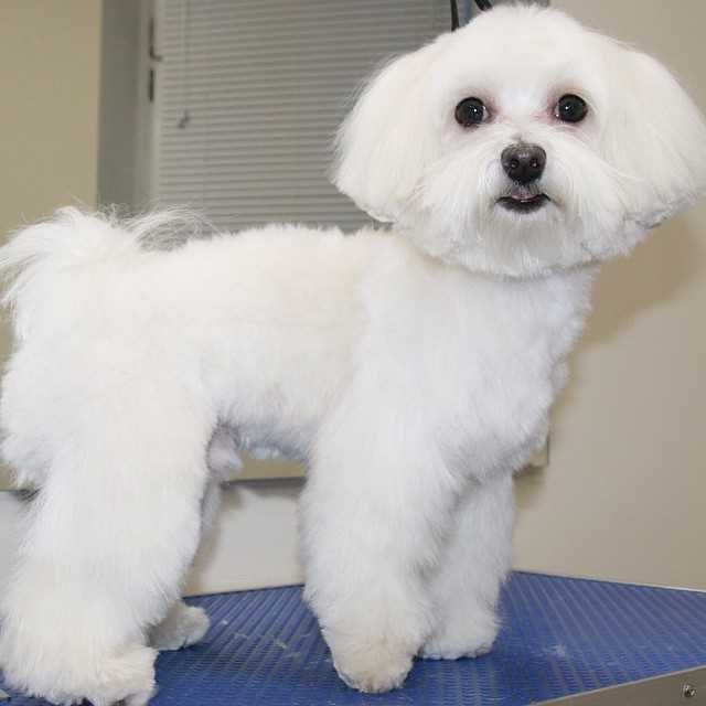 Склонность к аллергии