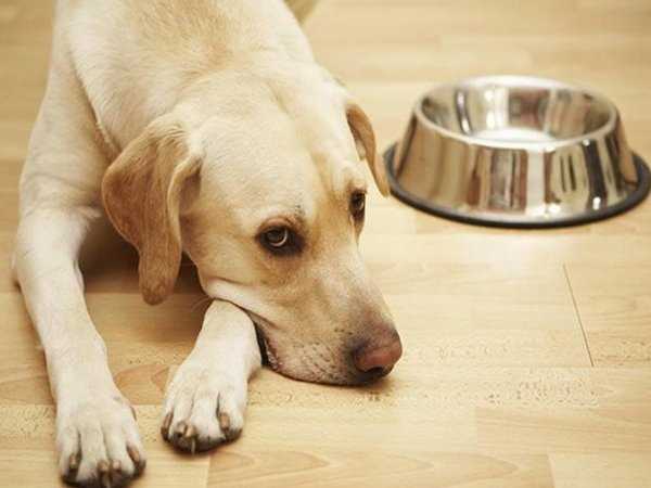 Воспалительные процессы в молочной железе