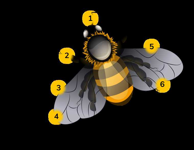 Медоносная пчела домашнее или дикое животное