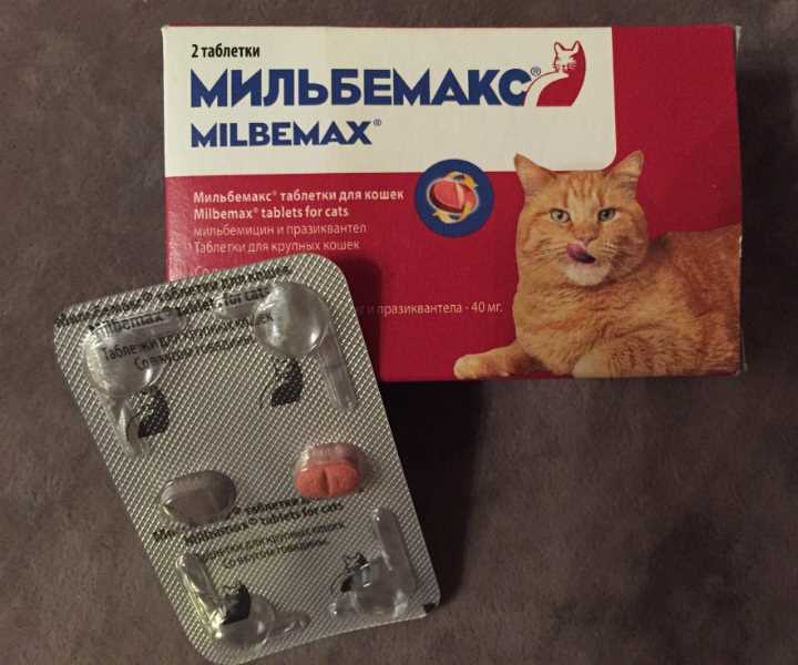 Мильбемакс для кошек: инструкция по применению, дозировка и противопоказания