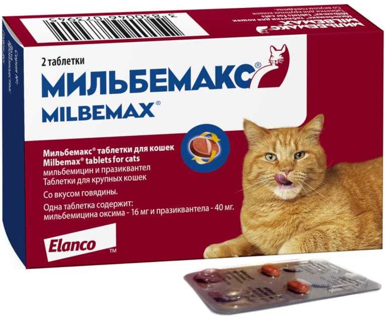 Мильбемакс для кошек: инструкция по применению, отзывы ветеринаров Мильбемакс для кошек: инструкция по применению, отзывы ветеринаров