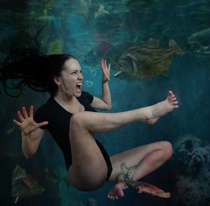 Могут ли пираньи съесть человека? Могут ли пираньи съесть человека