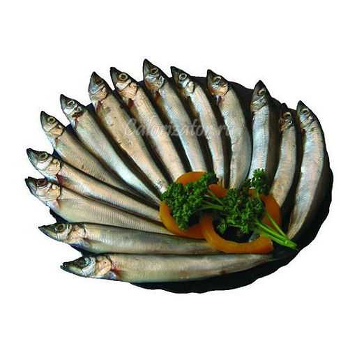 Мойва полезные свойства