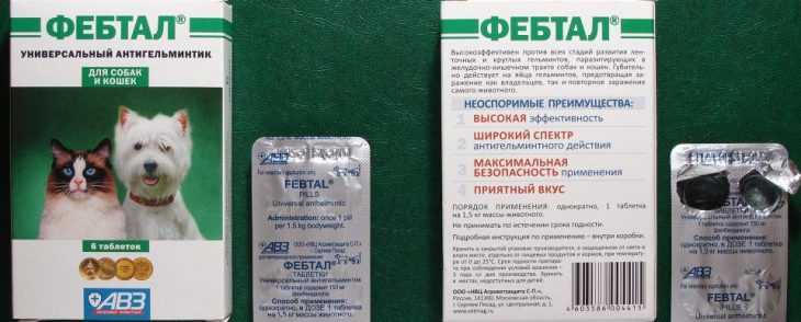 Как применять Мультифел 4 кошкам?