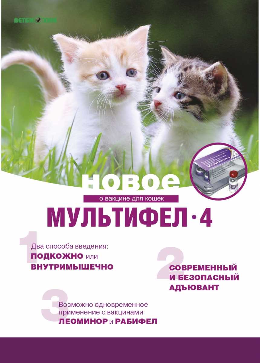 Мультифел для кошек