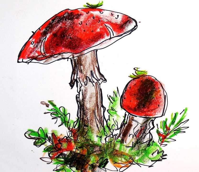 Красивые картинки мухоморов