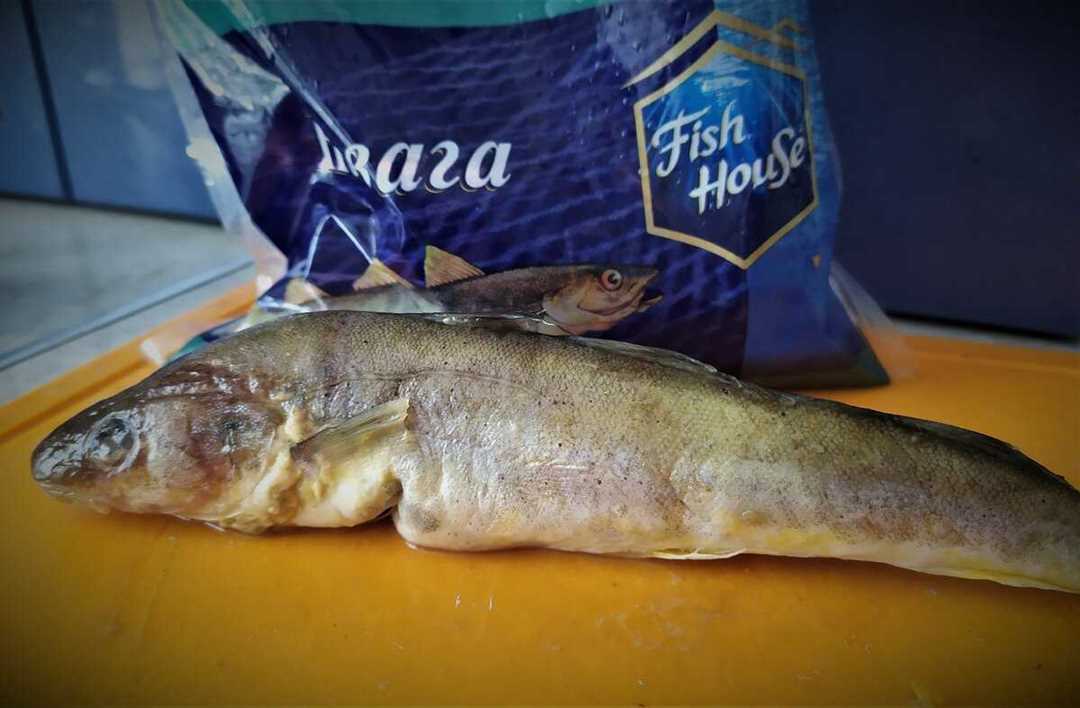 Навага полезные свойства