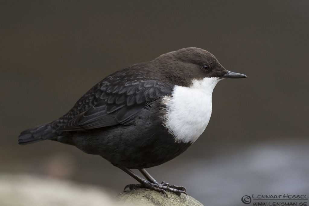 Интересные факты о сьемке