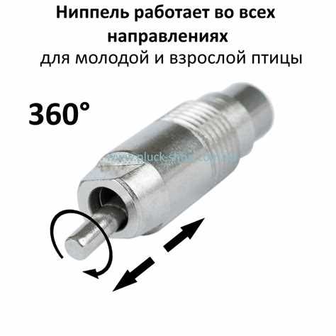 Недостатки пустышек для кур