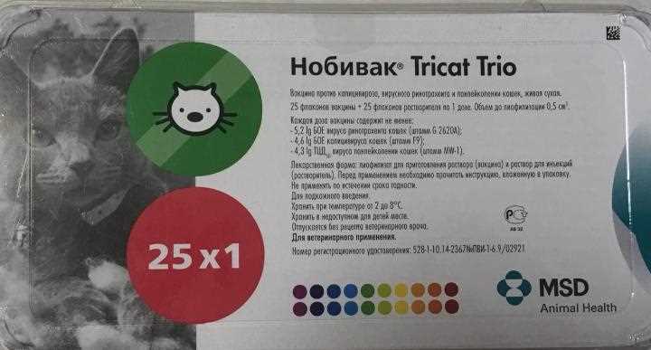 Что может произойти