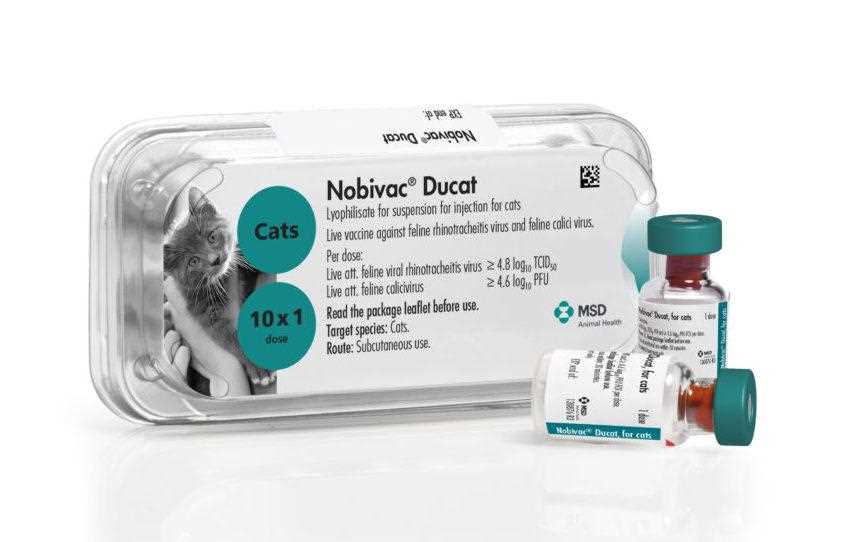 Отрицательные отзывы