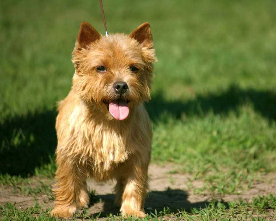 Совместимость с детьми