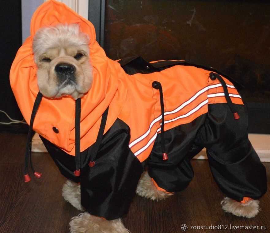 Какой материал выбрать?