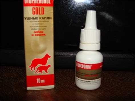 Отоферонол голд: инструкция по применению и рекомендации Отоферонол голд: инструкция по применению и рекомендации