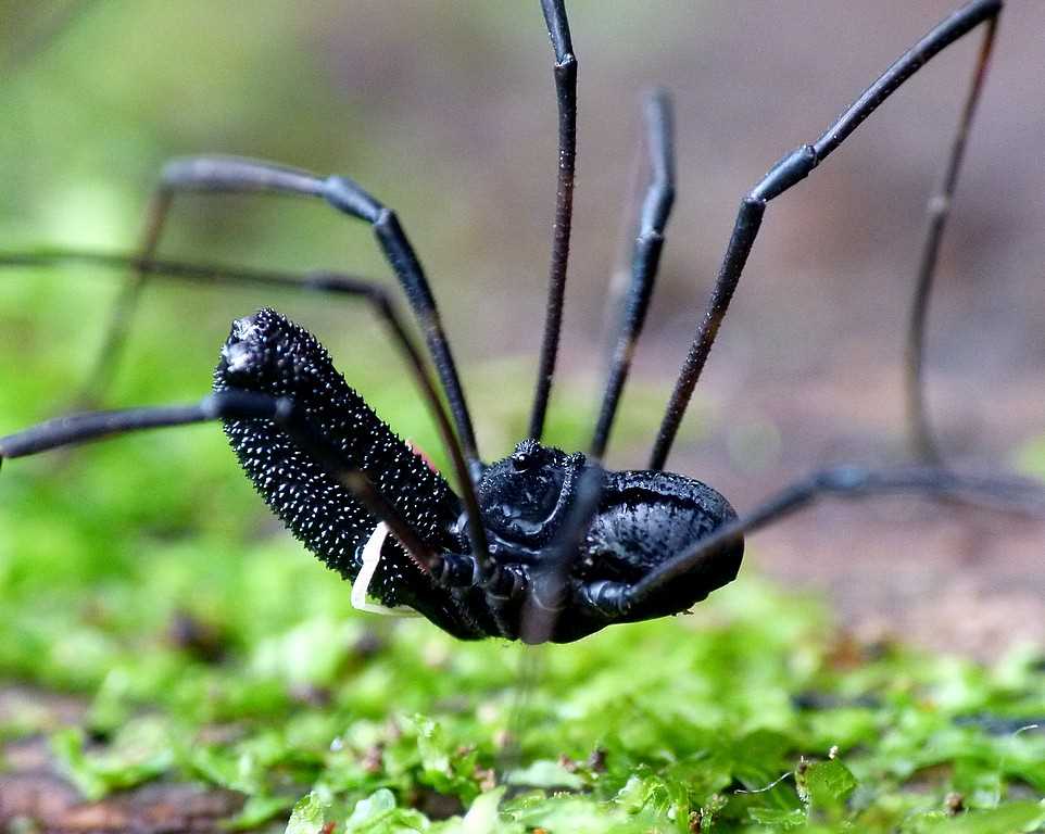 undefined3. Закрывать дыры и щели</em><noscript><img class=