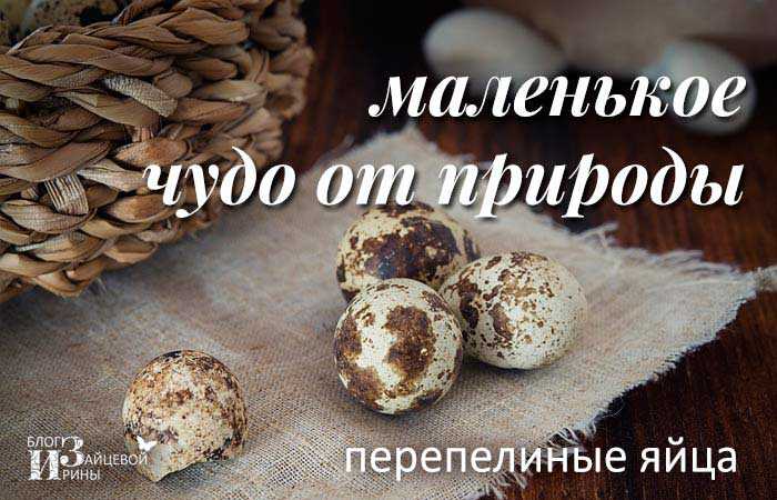 Особенности диеты