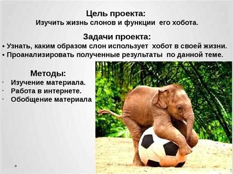 Поведение мышей, которое пугает слонов