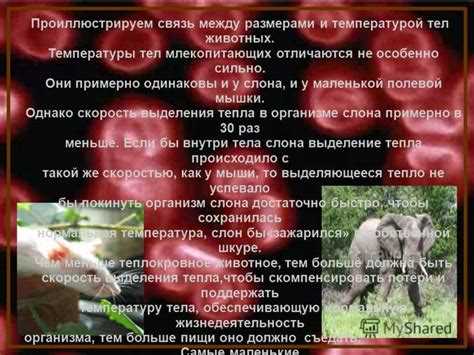 Распространение болезней