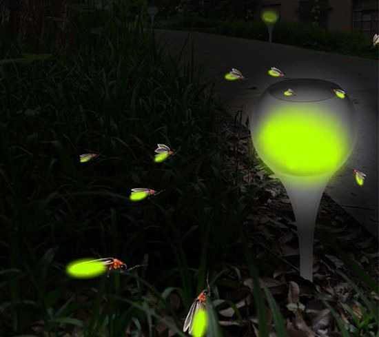 Фото светлячков: красота деталей