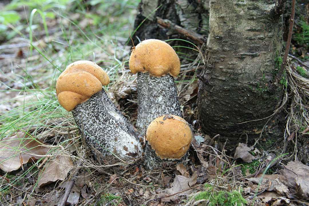 Маринование