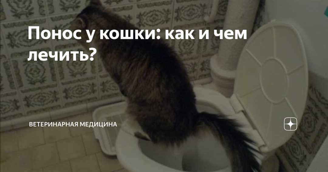 Домашние методы