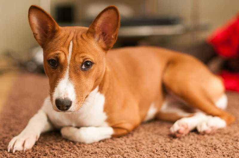 Повышенная безопасность