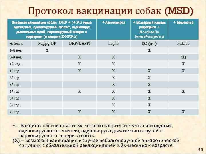 Схема прививок для собак с рождения