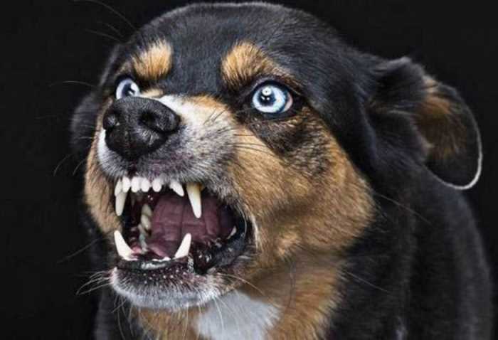 Физические симптомы