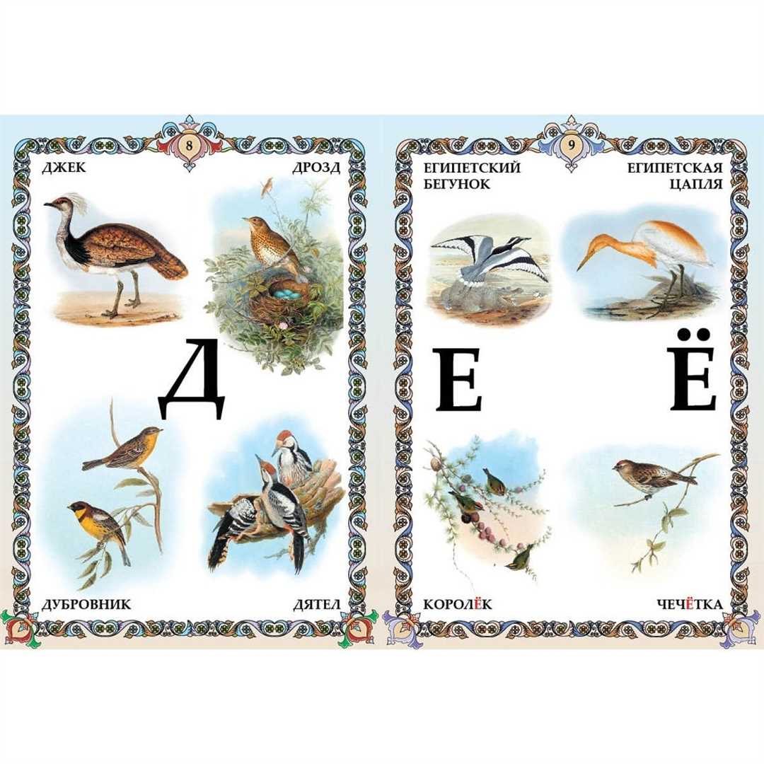Птицы названия по алфавиту