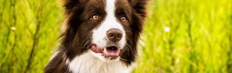 Спасательные работы