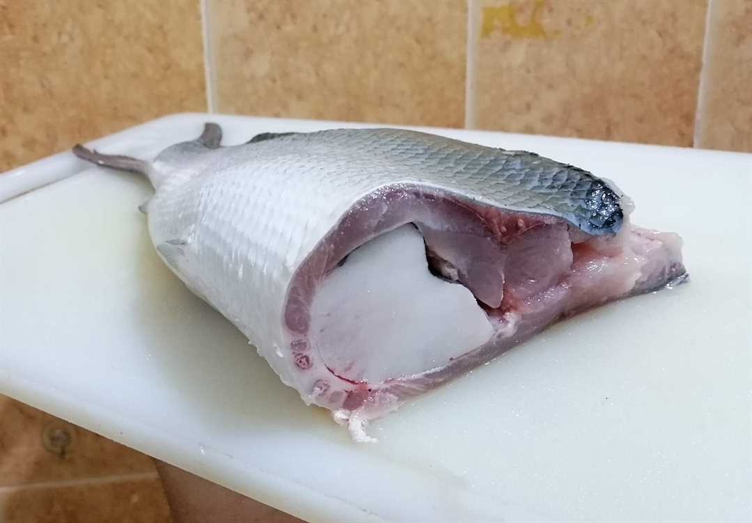 Рыба молочная (Манек, Минек, Ханос): описание, фото, польза и вред