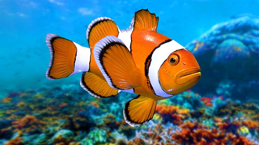 Популярный аквариумный обитатель - рыбка Немо (клоун)