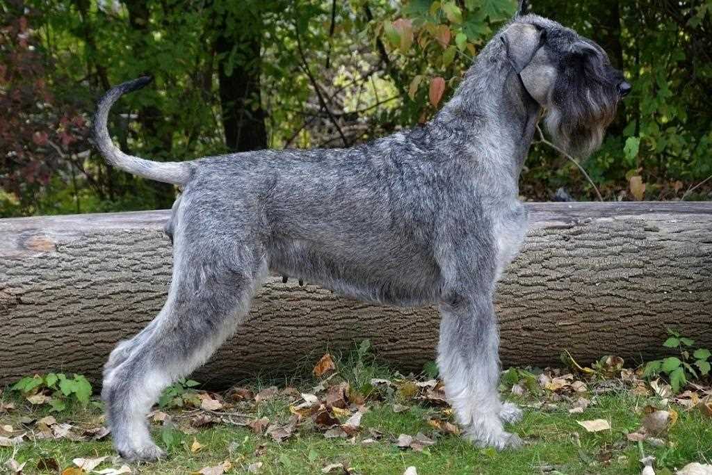 Профилактика