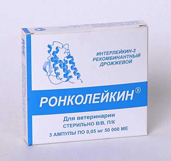 Ронколейкин для кошек: эффективное средство от насморка и кашля