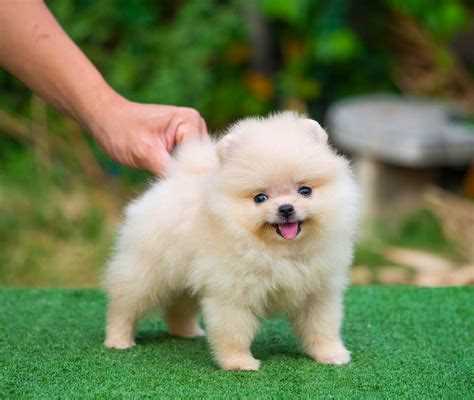 Наследственность