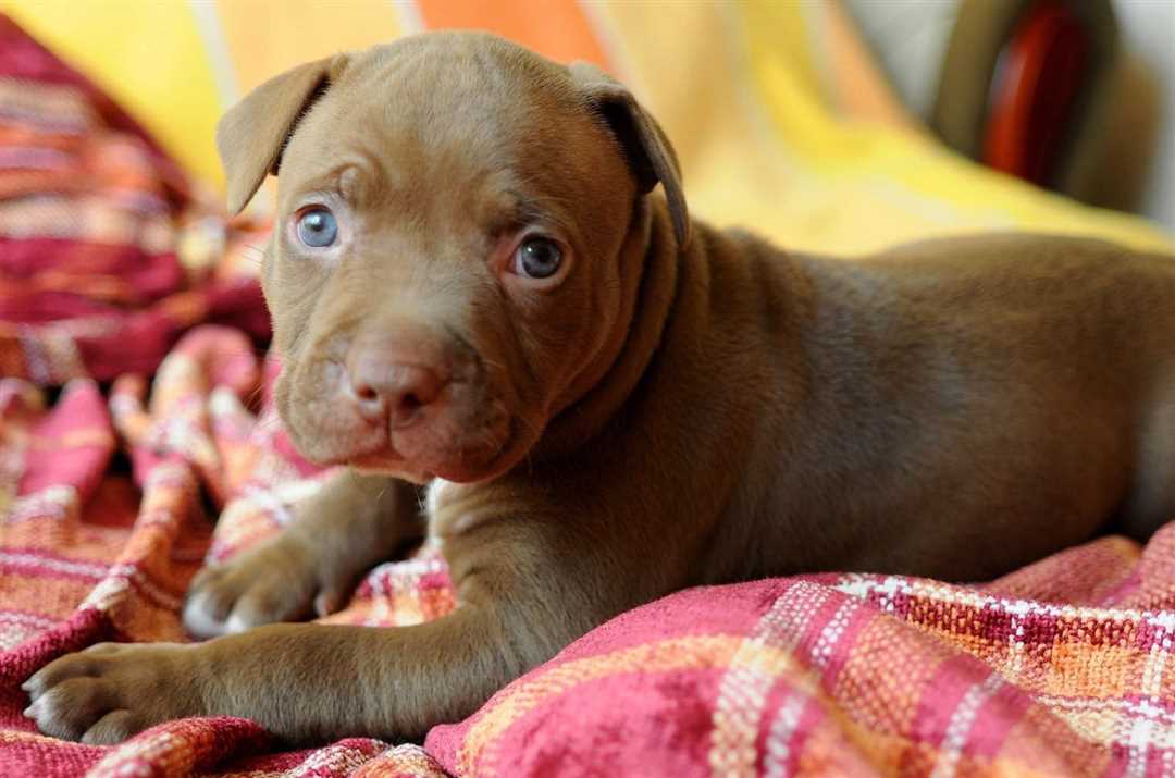 Агрессия и воспитание