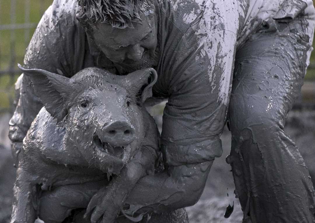 Зверек пугающий запахом сканворд 5 букв