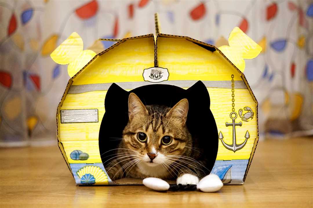 Котокомната