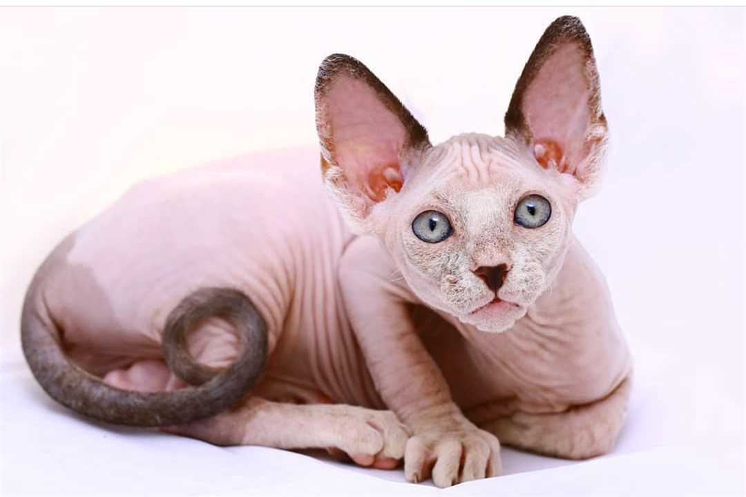 Физические нагрузки и занятия