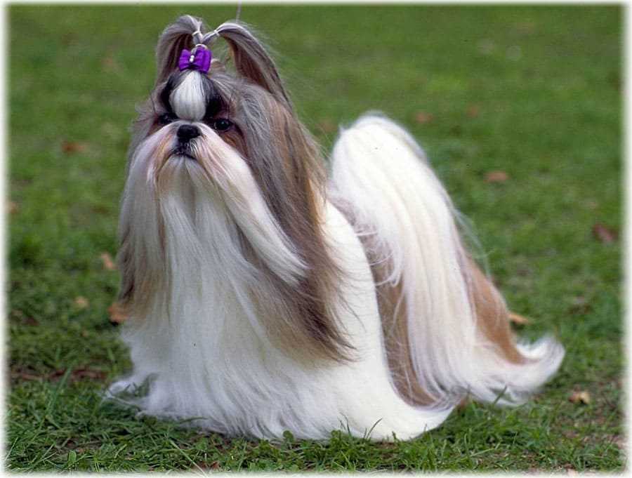 Популярные заболевания и их лечение