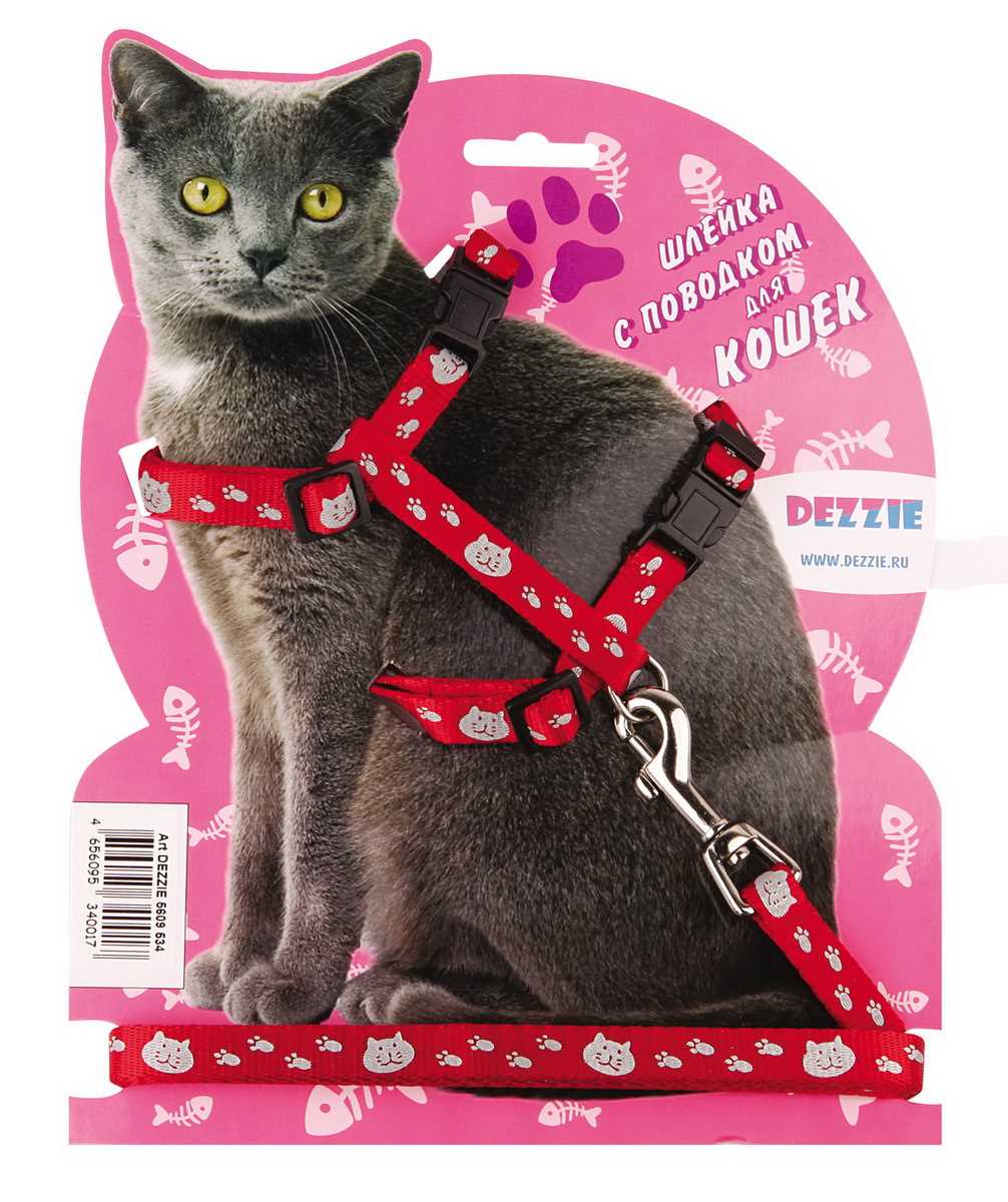 Прогулка на коротком поводке