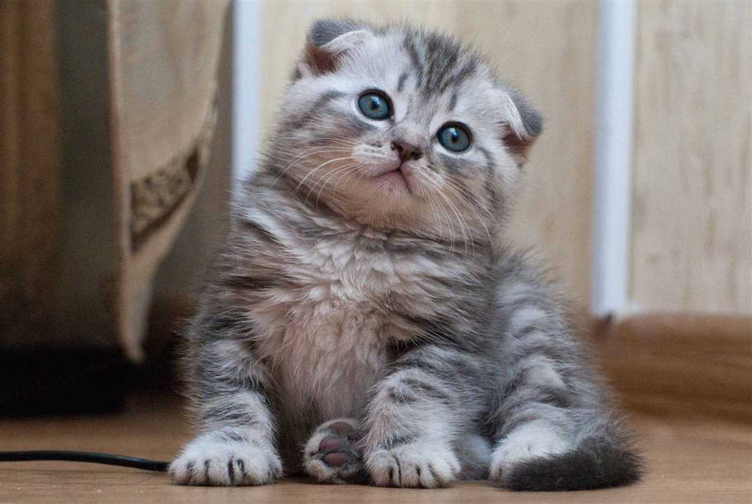 Способы стимуляции активности и развития