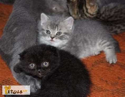 Потребности в уходе