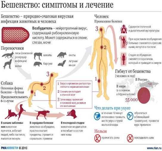 Передача бешенства