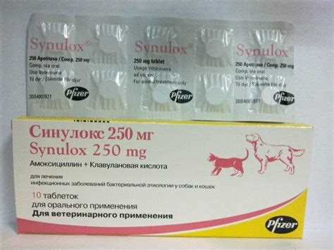 Преимущества препарата Синулокс