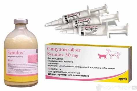 Правила применения