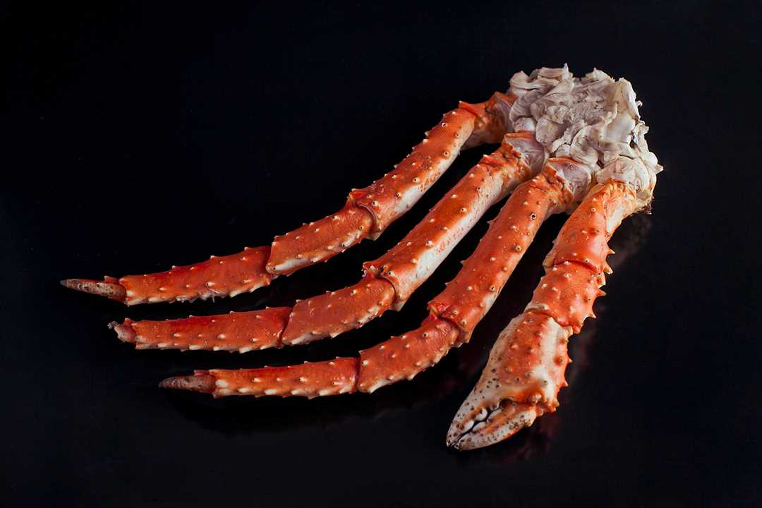 Заключение