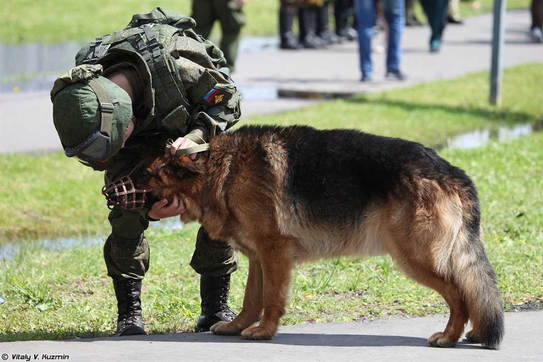 4. Питомниковый работник