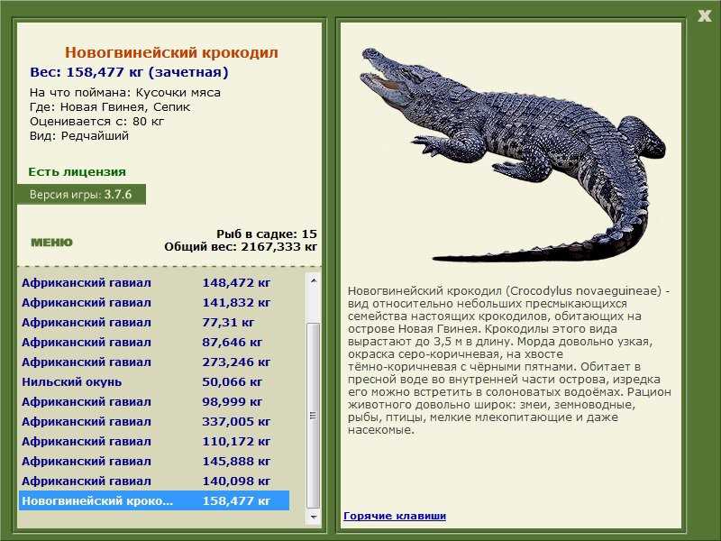 Сколько весит крокодил Сколько весит крокодил
