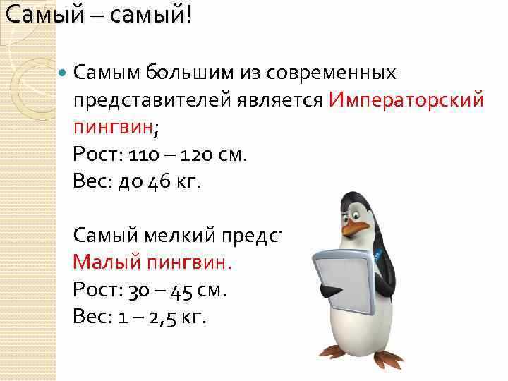 Среда обитания пингвинов